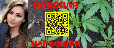 спайс Кинель