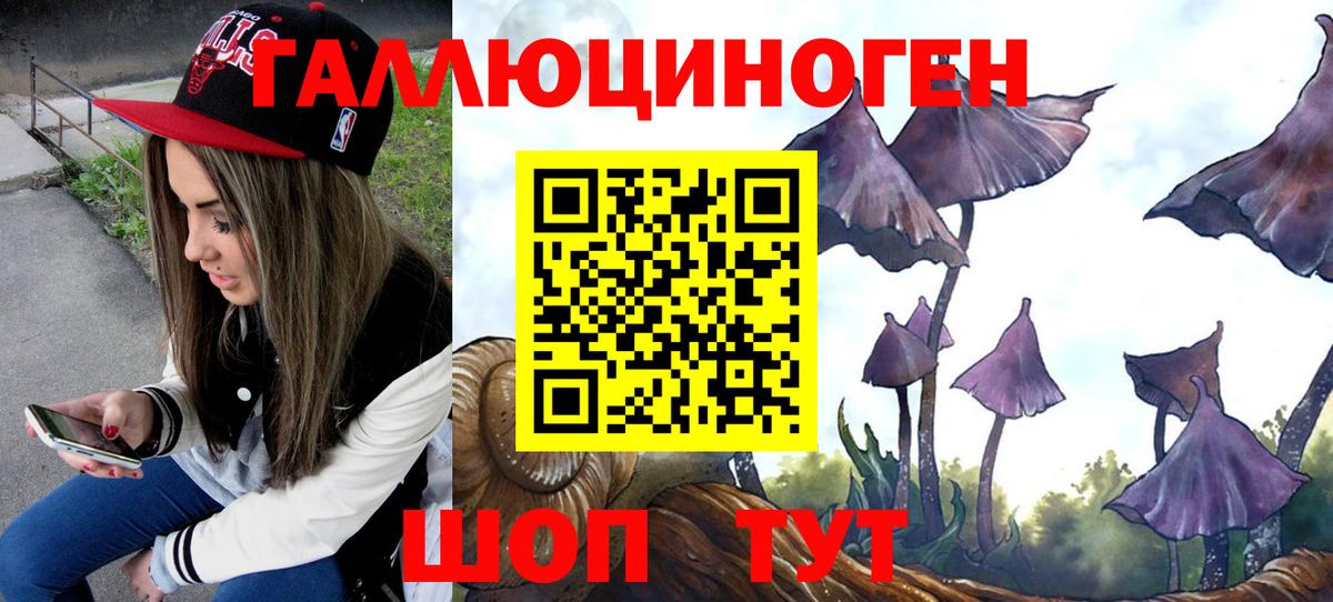 дарнет шоп  Галлюциногенные грибы мухоморы  Вход с VPN  Псилоцибиновые грибы Psilocybine cubensis  Кострома 