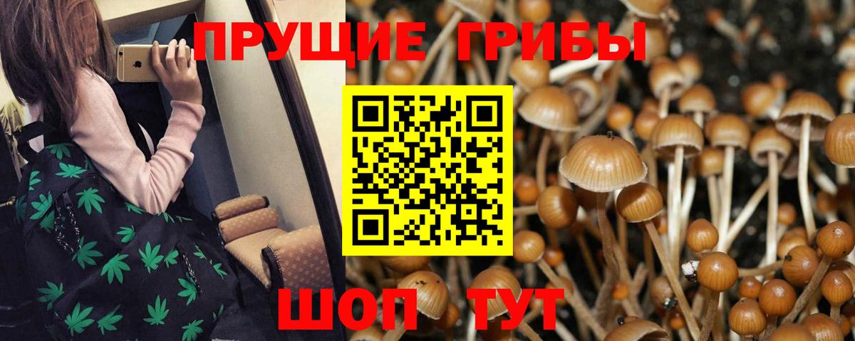 Псилоцибиновые грибы Magic Shrooms Кострома