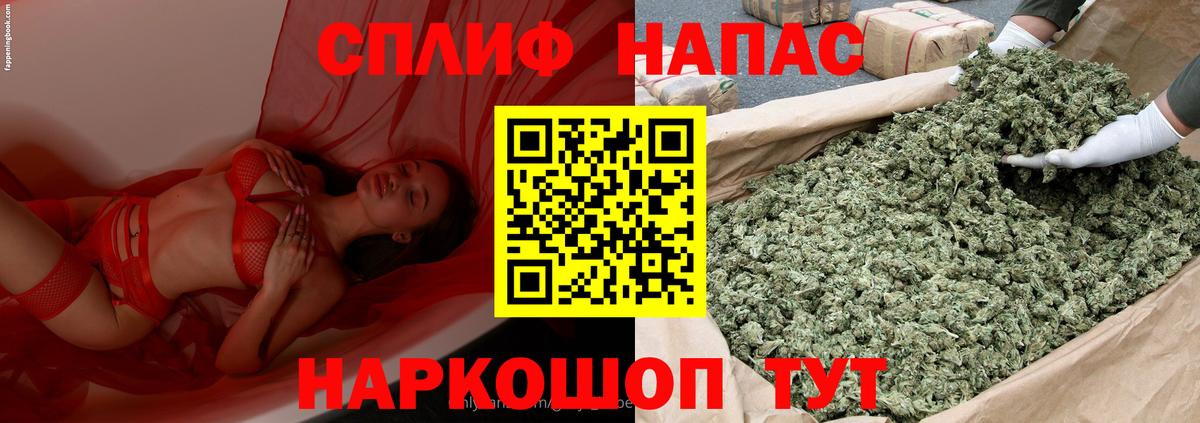 Бошки марихуана сатива  Каннабис план  Вход с VPN  Марихуана MAZAR  Кострома 